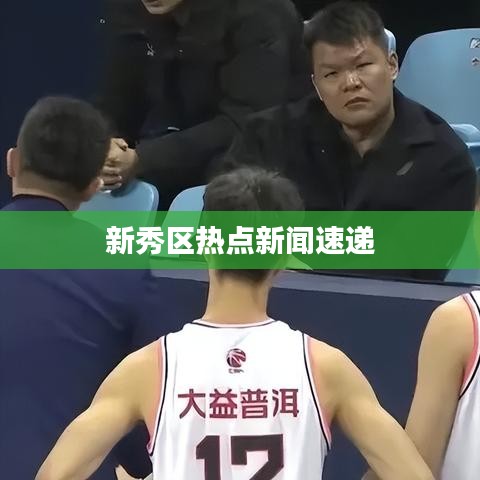 新秀区热点新闻速递