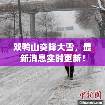 双鸭山突降大雪，最新消息实时更新！