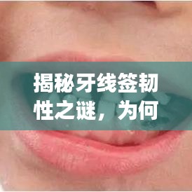 揭秘牙线签韧性之谜，为何强韧不断，表现卓越？