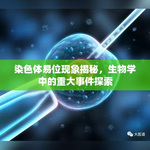 染色体易位现象揭秘，生物学中的重大事件探索