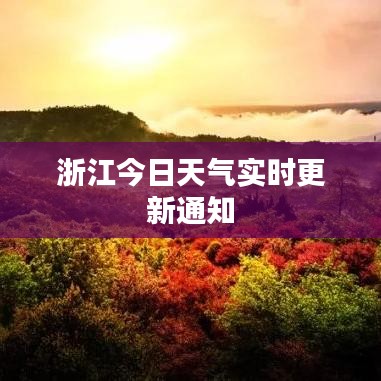浙江今日天气实时更新通知