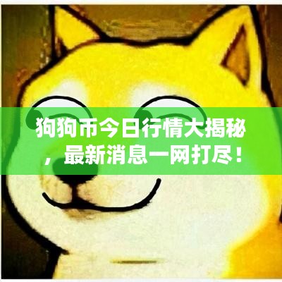 狗狗币今日行情大揭秘，最新消息一网打尽！