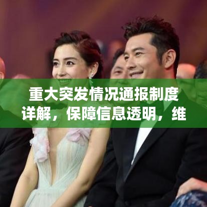 重大突发情况通报制度详解，保障信息透明，维护社会稳定