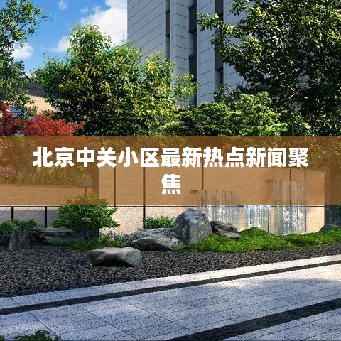 龙飞九五