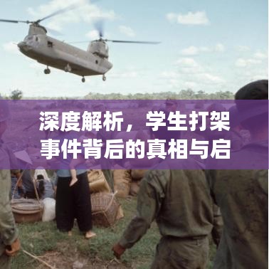 深度解析，学生打架事件背后的真相与启示
