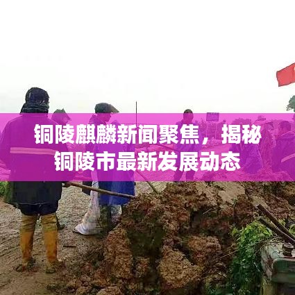 铜陵麒麟新闻聚焦，揭秘铜陵市最新发展动态