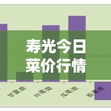 寿光今日菜价行情更新，最新消息一览