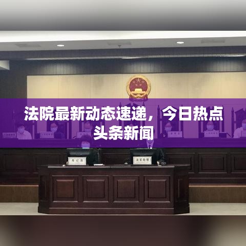 法院最新动态速递，今日热点头条新闻