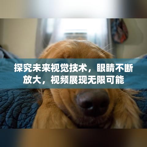 探究未来视觉技术，眼睛不断放大，视频展现无限可能