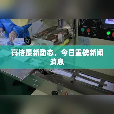 成功案例 第10页