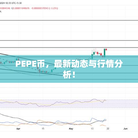 PEPE币，最新动态与行情分析！