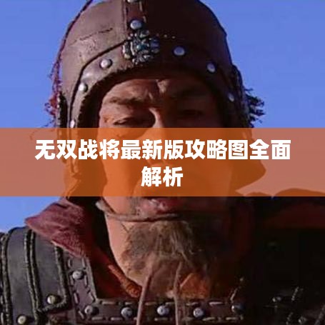无双战将最新版攻略图全面解析