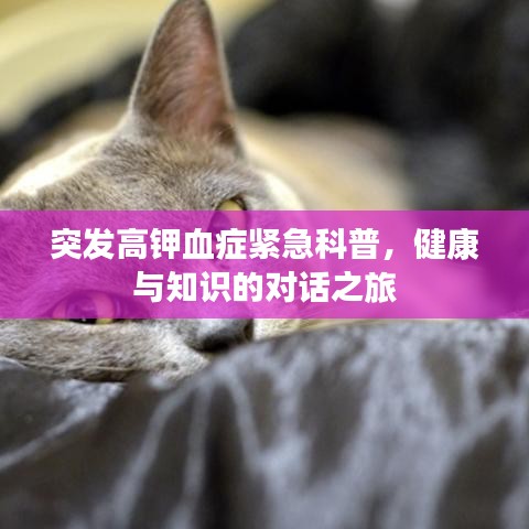 突发高钾血症紧急科普，健康与知识的对话之旅
