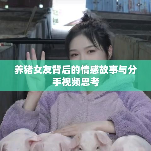 养猪女友背后的情感故事与分手视频思考