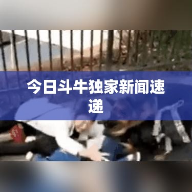 今日斗牛独家新闻速递