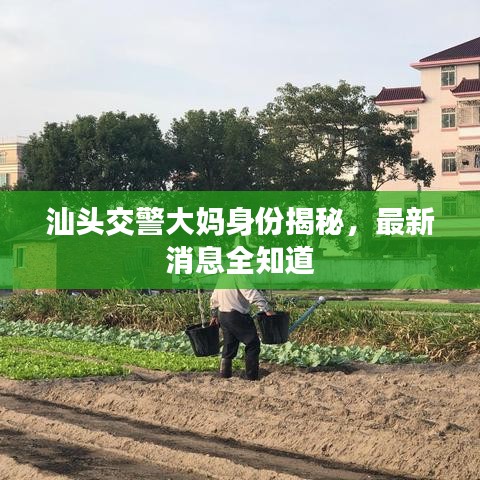 汕头交警大妈身份揭秘，最新消息全知道
