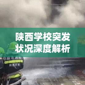 陕西学校突发状况深度解析