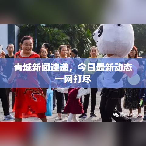 青城新闻速递，今日最新动态一网打尽