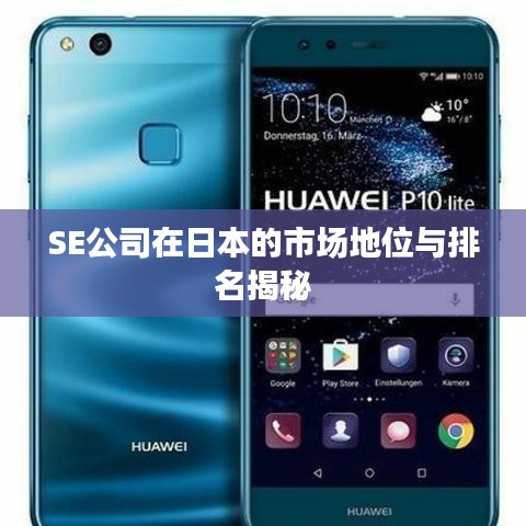 SE公司在日本的市场地位与排名揭秘