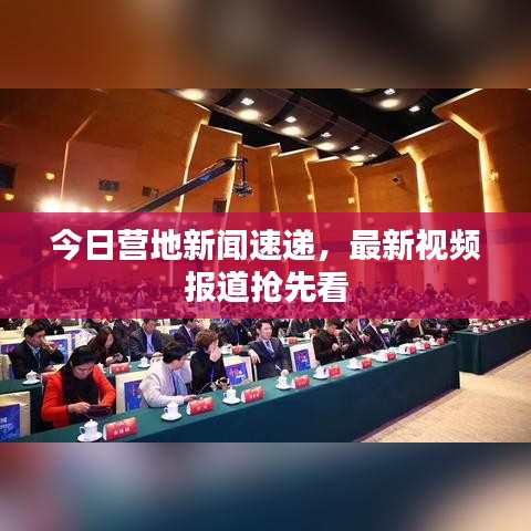 今日营地新闻速递，最新视频报道抢先看