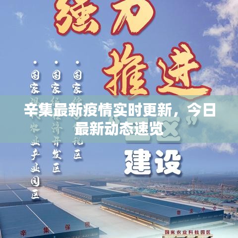 辛集最新疫情实时更新，今日最新动态速览