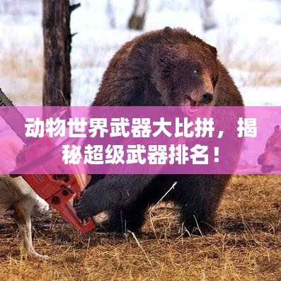 动物世界武器大比拼，揭秘超级武器排名！
