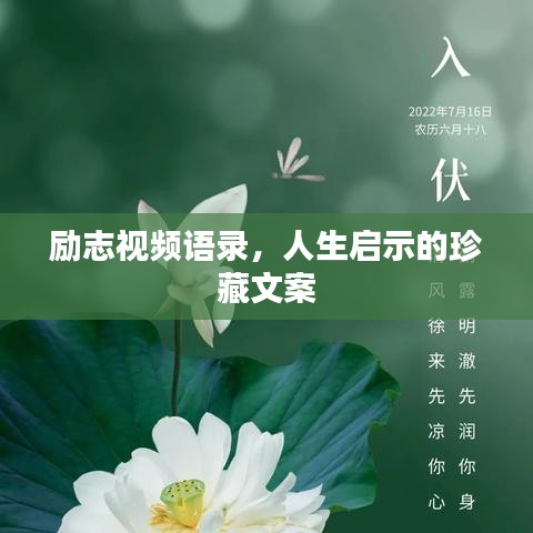 励志视频语录，人生启示的珍藏文案