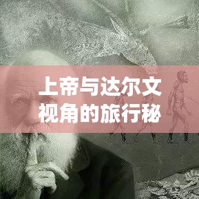 上帝与达尔文视角的旅行秘籍，揭秘最佳旅游指南！
