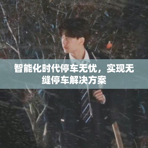 智能化时代停车无忧，实现无缝停车解决方案