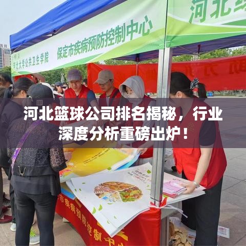 河北篮球公司排名揭秘，行业深度分析重磅出炉！