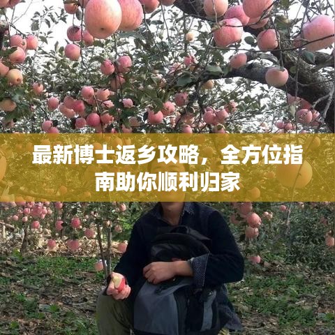 最新博士返乡攻略，全方位指南助你顺利归家