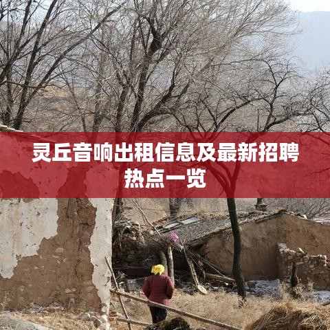灵丘音响出租信息及最新招聘热点一览