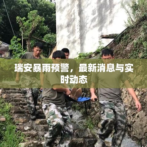 瑞安暴雨预警，最新消息与实时动态