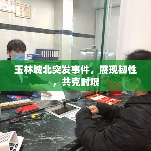 玉林城北突发事件，展现韧性，共克时艰