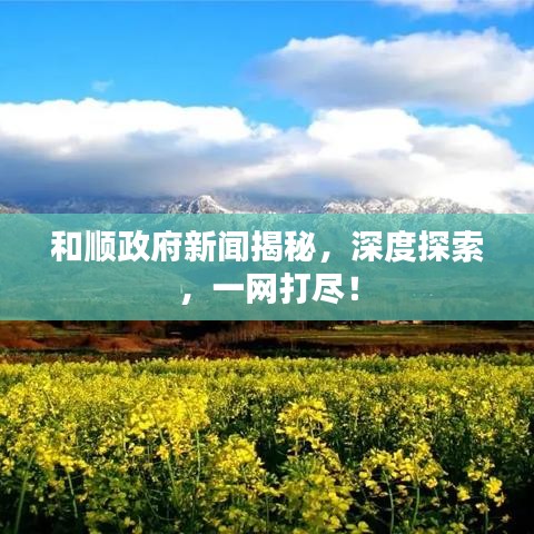 和顺政府新闻揭秘，深度探索，一网打尽！