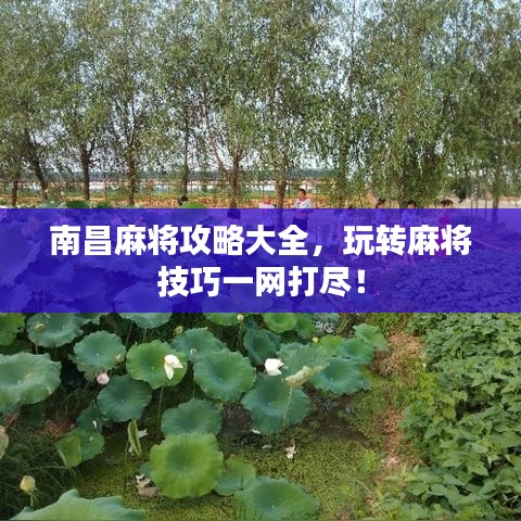 刺股读书