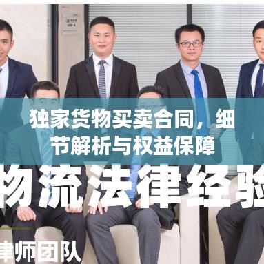 独家货物买卖合同，细节解析与权益保障