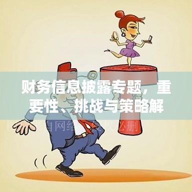 财务信息披露专题，重要性、挑战与策略解析