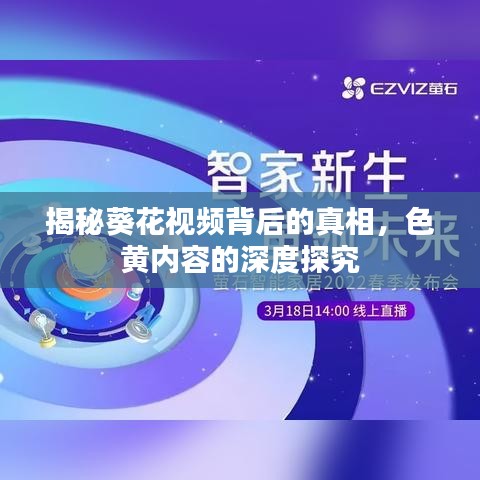 揭秘葵花视频背后的真相，色黄内容的深度探究