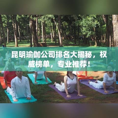 昆明瑜伽公司排名大揭秘，权威榜单，专业推荐！