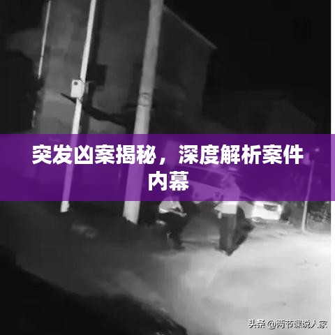 突发凶案揭秘，深度解析案件内幕