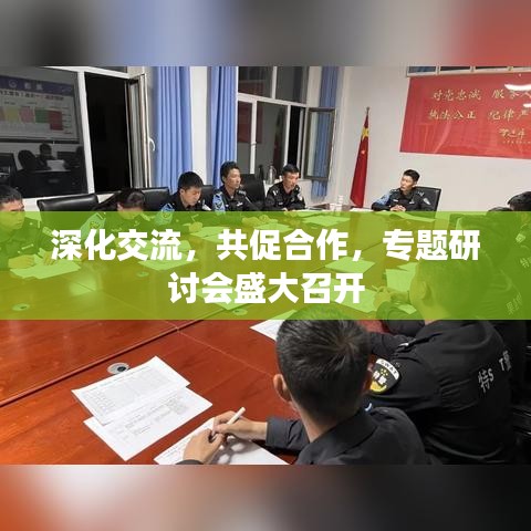 深化交流，共促合作，专题研讨会盛大召开