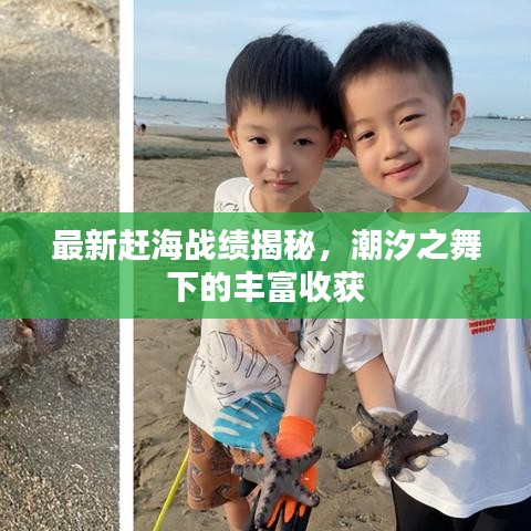 最新赶海战绩揭秘，潮汐之舞下的丰富收获