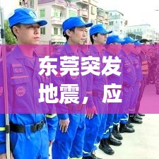 东莞突发地震，应对与反思，深度剖析事件真相