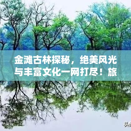 金滩古林探秘，绝美风光与丰富文化一网打尽！旅游攻略大揭秘！