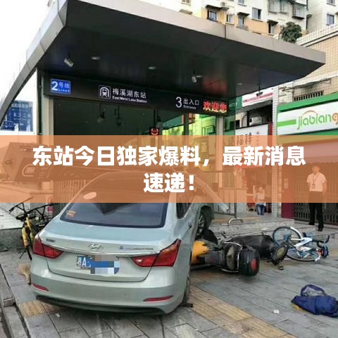 东站今日独家爆料，最新消息速递！