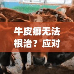 牛皮癣无法根治？应对策略助你摆脱皮肤病困扰！