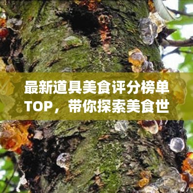 最新道具美食评分榜单TOP，带你探索美食世界的宝藏佳肴