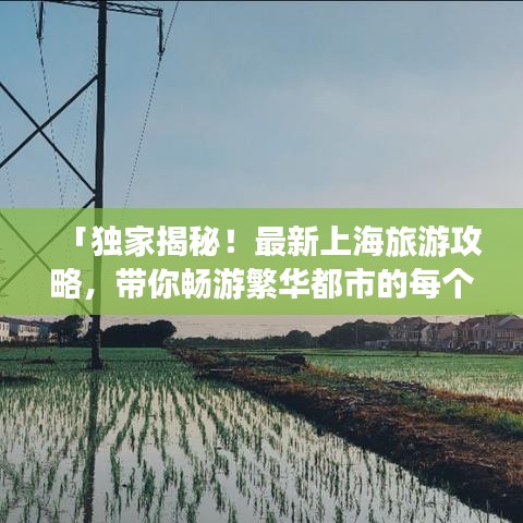 「独家揭秘！最新上海旅游攻略，带你畅游繁华都市的每个角落」