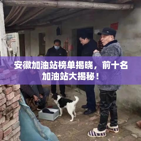 安徽加油站榜单揭晓，前十名加油站大揭秘！